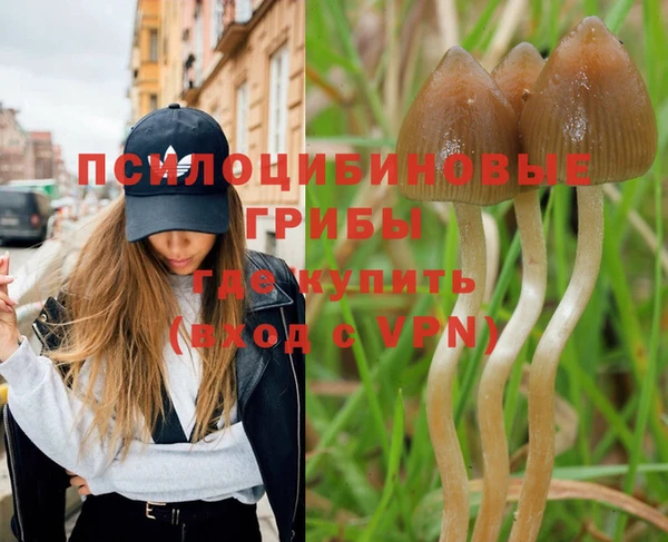 PSILOCYBIN Баксан
